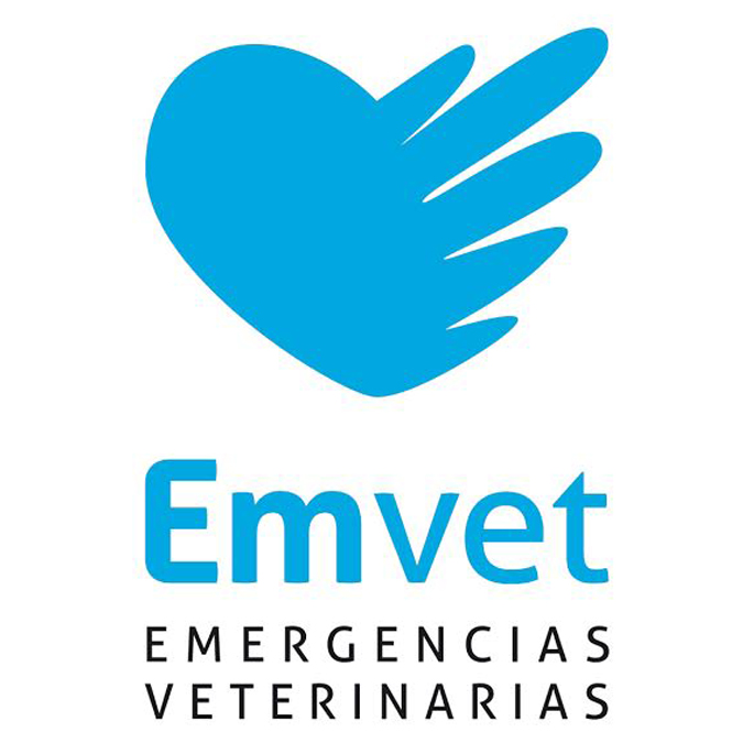 Emergencias Veterinarias De Zaragoza